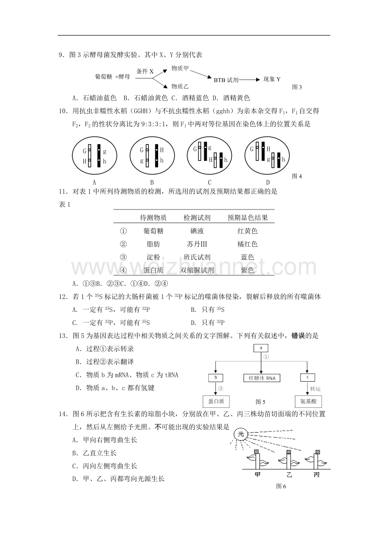 2018年嘉定区生命科学一模试卷.doc_第2页