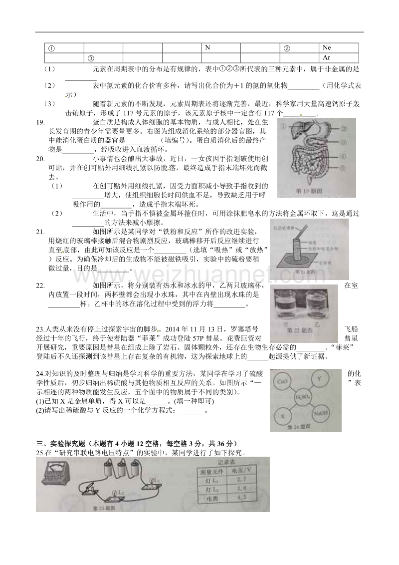 2015年浙江嘉兴中考科学试卷及答案.doc_第3页