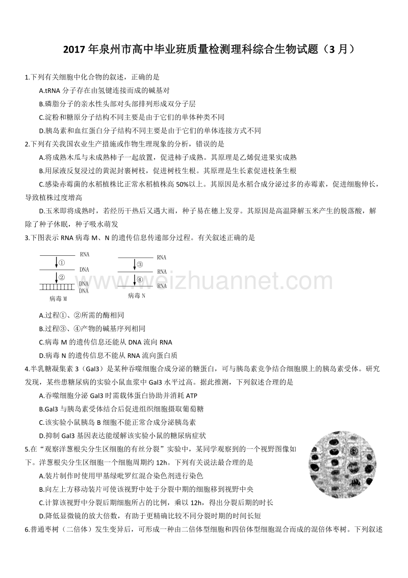 2017年泉州市高中毕业班质量检测理科综合生物试题及答案(3月).doc_第1页