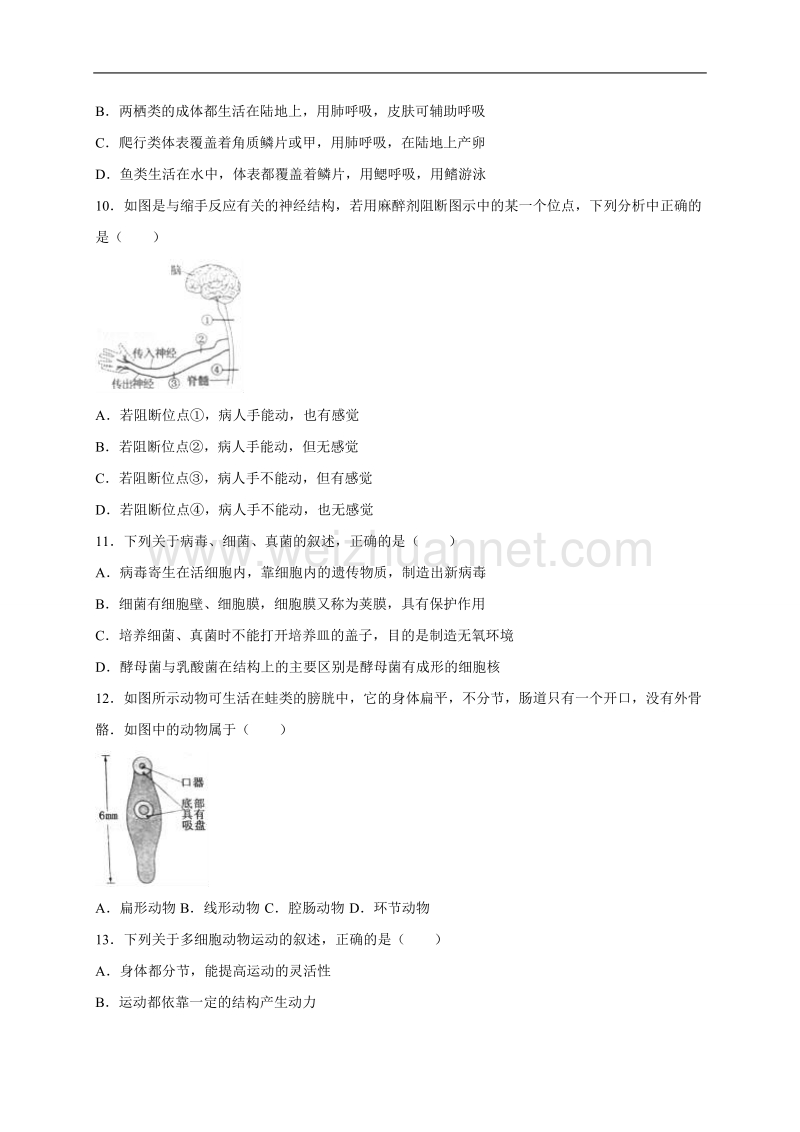 山东省泰安市2017年中考生物试题(word版-含解析).doc_第3页