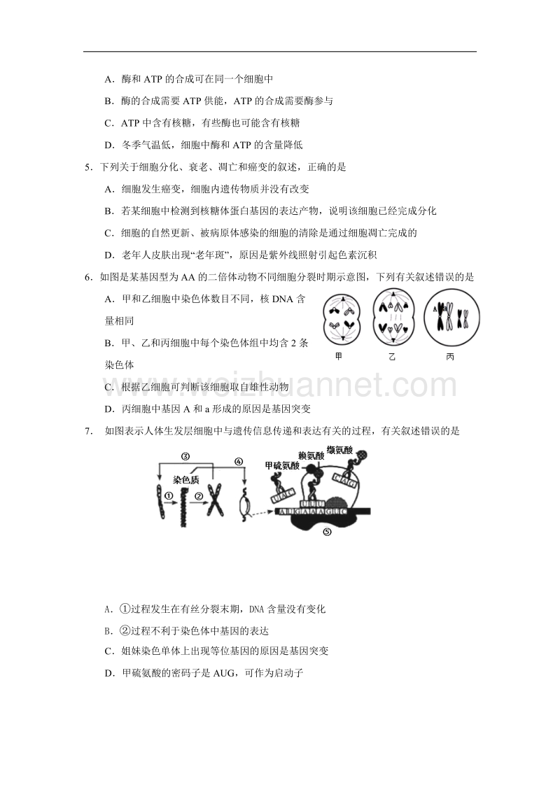 江苏省镇江市2017届高三三模(最后一卷)生物试题--word版含答案.doc_第2页