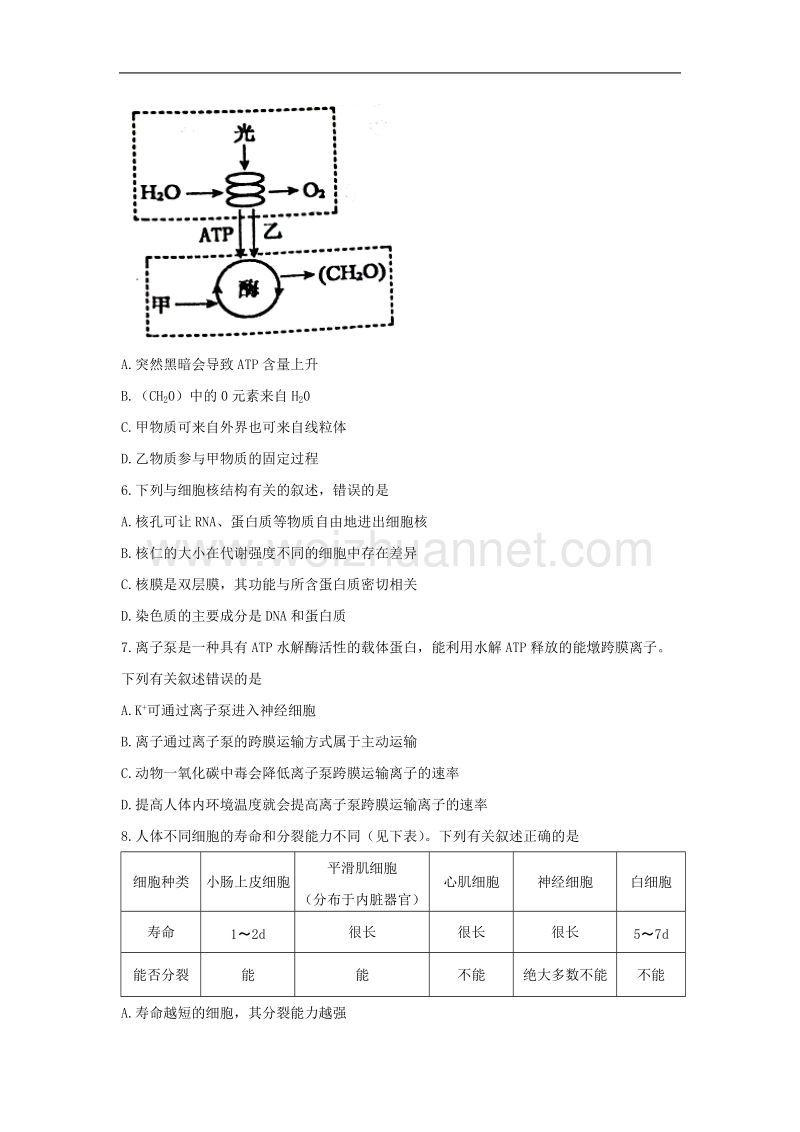 (生物)江苏省盐城市2018年高三第一学期期中统一考试生物试卷.doc_第2页