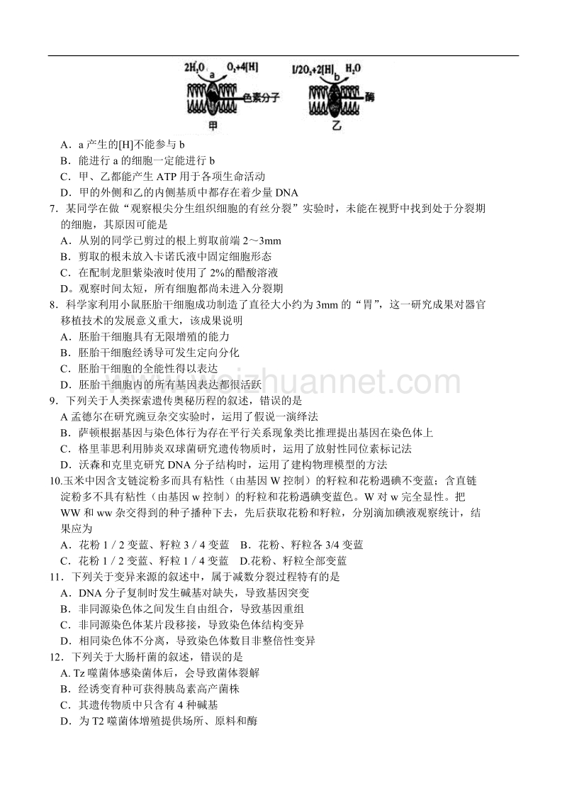 安徽省合肥市2016届高三第一次教学质量检查生物试题.doc_第2页