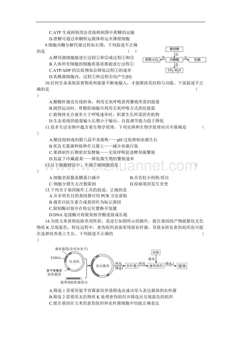 17-18海淀高三第一学期期中生物试题及答案.doc_第2页