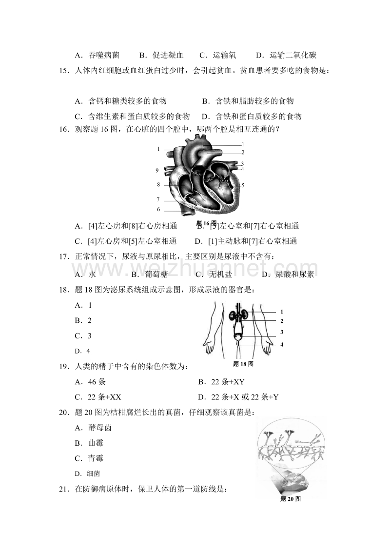 重庆市涪陵区2012年初中结业考试生物试题及答案(word版).doc_第3页