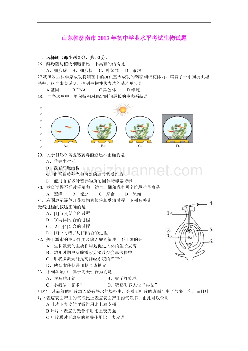 2013年初中学业水平考试生物试题(山东省济南市).doc_第1页