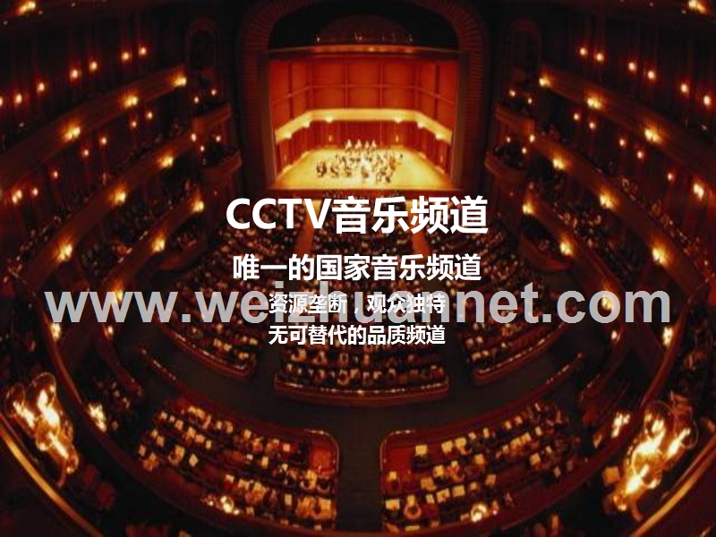 cctv音乐频道提示收看.ppt_第2页