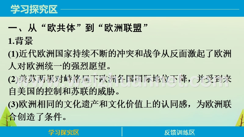 2015-2016学年高中历史必修二学案专题八-2-当今世界经济区域集团化的发展.ppt.ppt_第3页