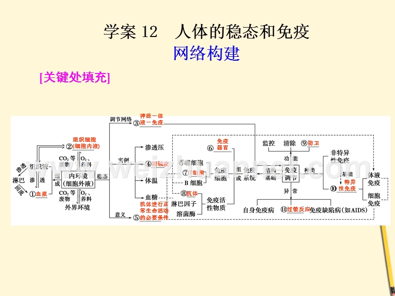 【金牌学案】2012届高考生物二轮专题-知识专题5学案12-人体的稳态和免疫复习课件.ppt_第1页