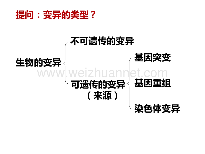 (一轮复习)染色体变异.pptx_第2页