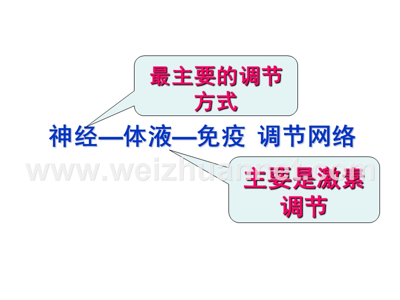 2015高中生物二轮复习人和动物生命活动的调节.ppt_第2页