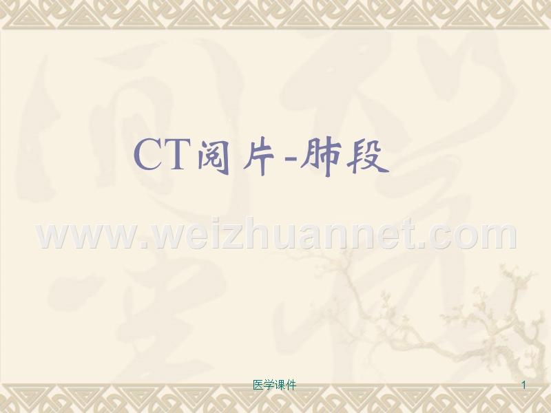 ct阅片肺段-ppt课件.ppt_第1页