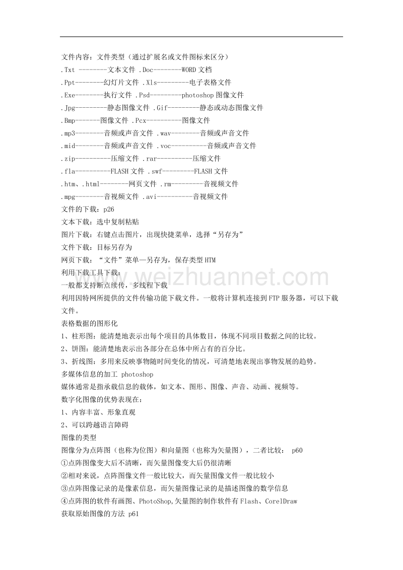 信息技术基础复习提纲及练习.doc_第2页