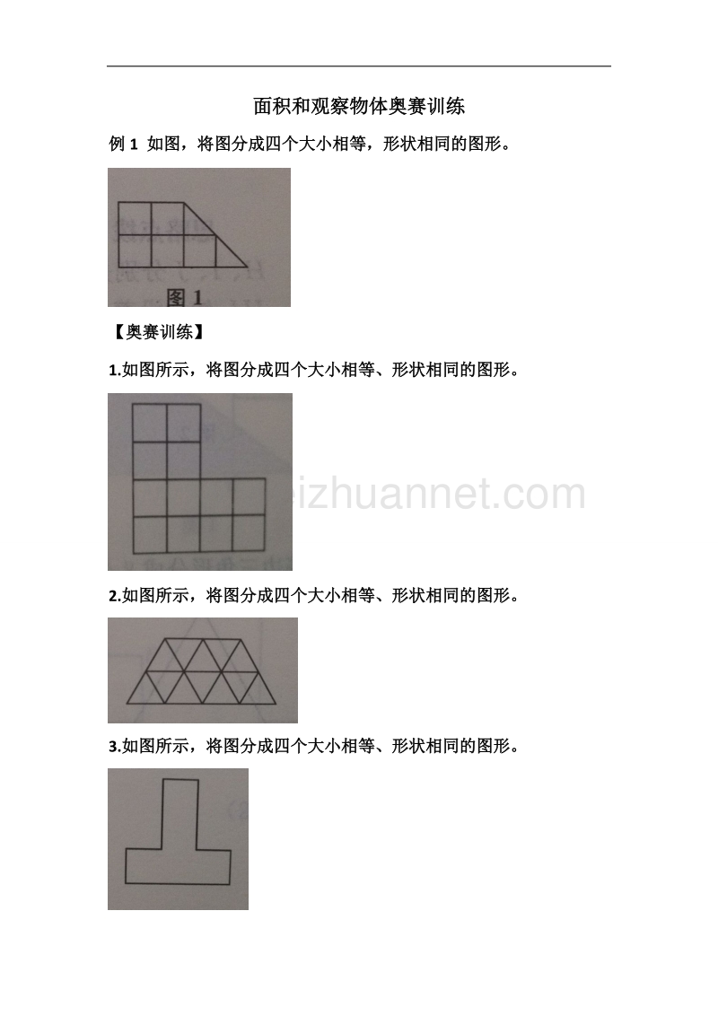 五年级奥数面积和观察物体.doc_第1页