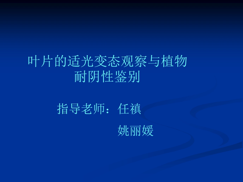 叶片的适光变态观察与植物耐阴性鉴别.ppt_第1页