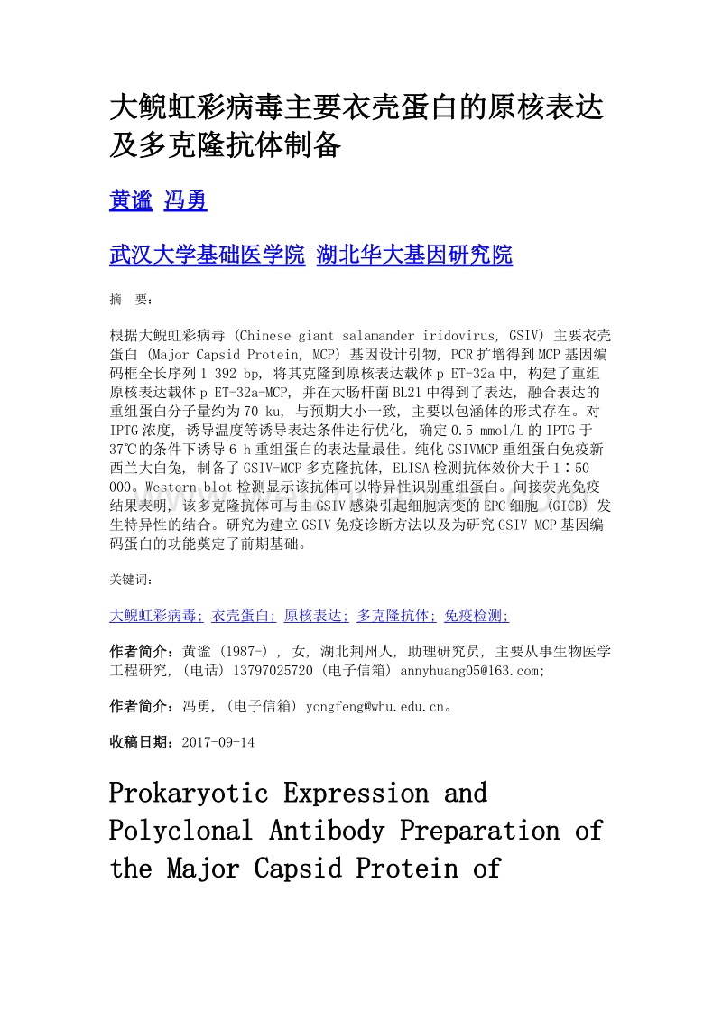 大鲵虹彩病毒主要衣壳蛋白的原核表达及多克隆抗体制备.doc_第1页