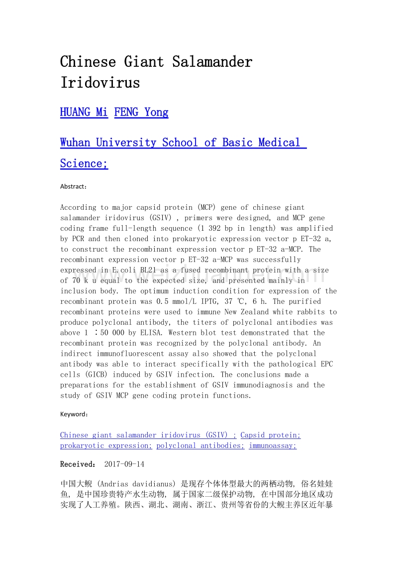 大鲵虹彩病毒主要衣壳蛋白的原核表达及多克隆抗体制备.doc_第2页