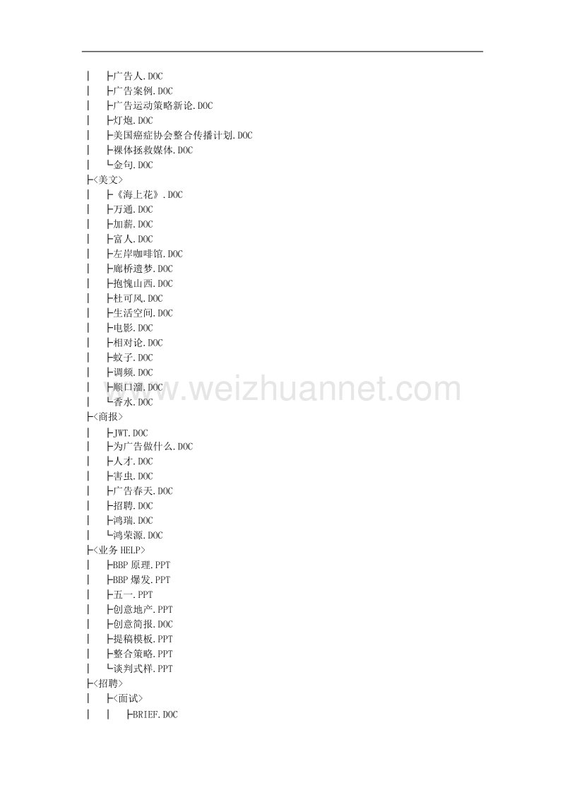 博思堂地产项目全案目录.doc_第2页