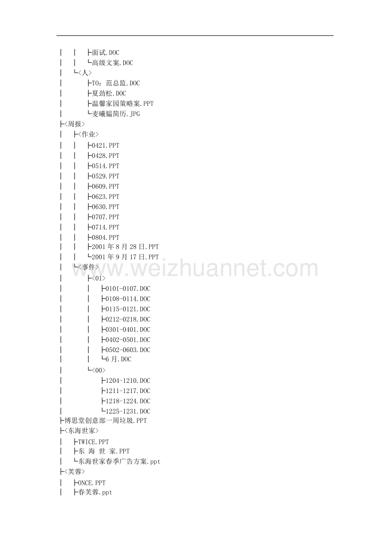 博思堂地产项目全案目录.doc_第3页