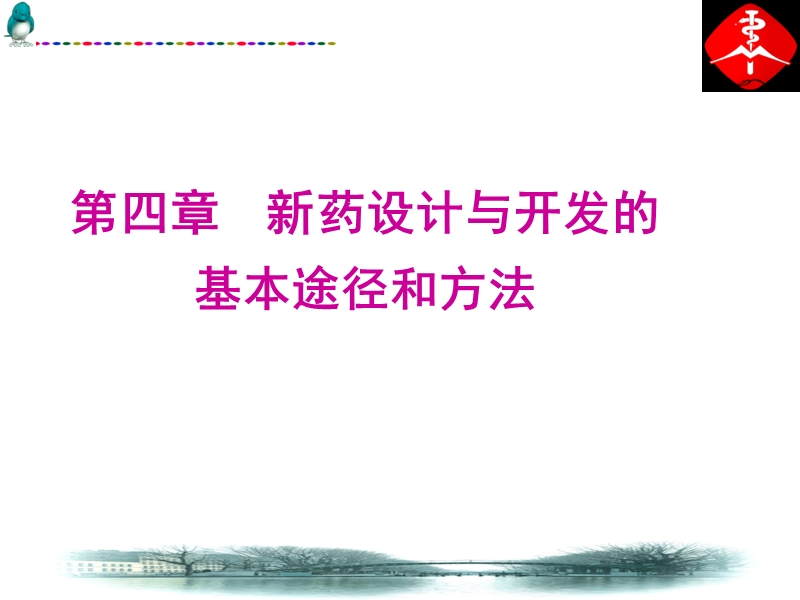 5新药设计与开发的基本途径和方法-3先导化合物的优化.ppt_第1页