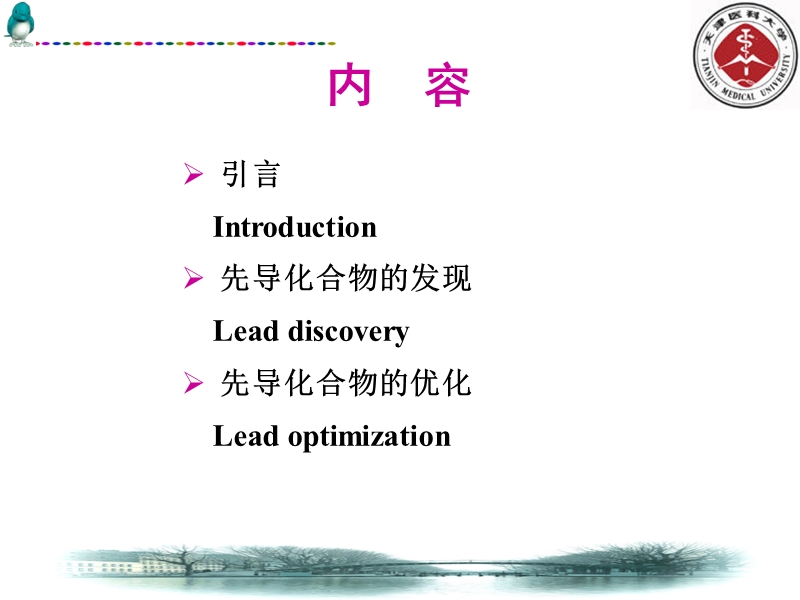 5新药设计与开发的基本途径和方法-3先导化合物的优化.ppt_第2页