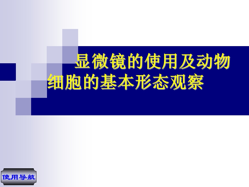 动物细胞形态观察.ppt_第1页