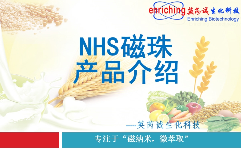 nhs磁珠使用原理及详细的操作步骤应用范畴.ppt_第1页