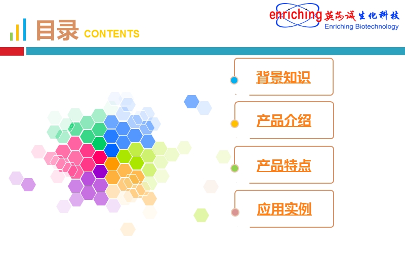 nhs磁珠使用原理及详细的操作步骤应用范畴.ppt_第2页