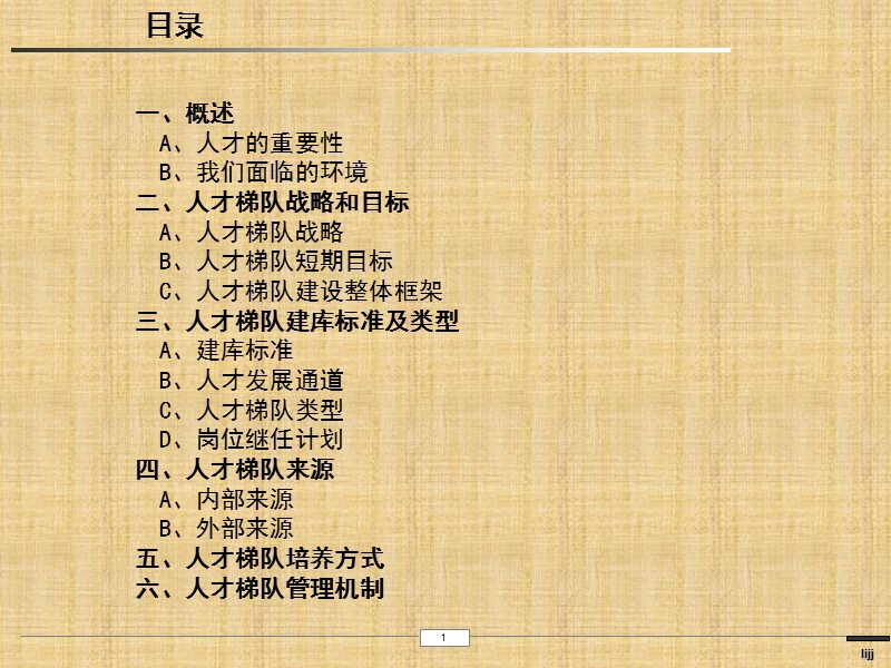 关于公司的人才梯队建设思路.ppt_第2页