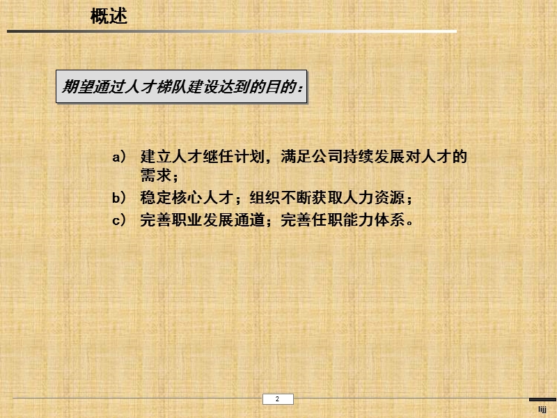 关于公司的人才梯队建设思路.ppt_第3页