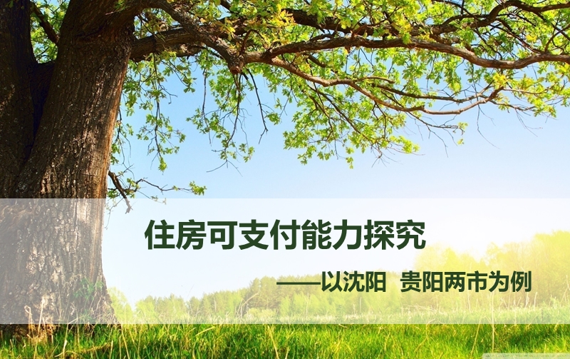 住房可支付能力.ppt_第1页