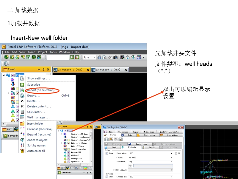 petrel高级培训2013.ppt_第3页