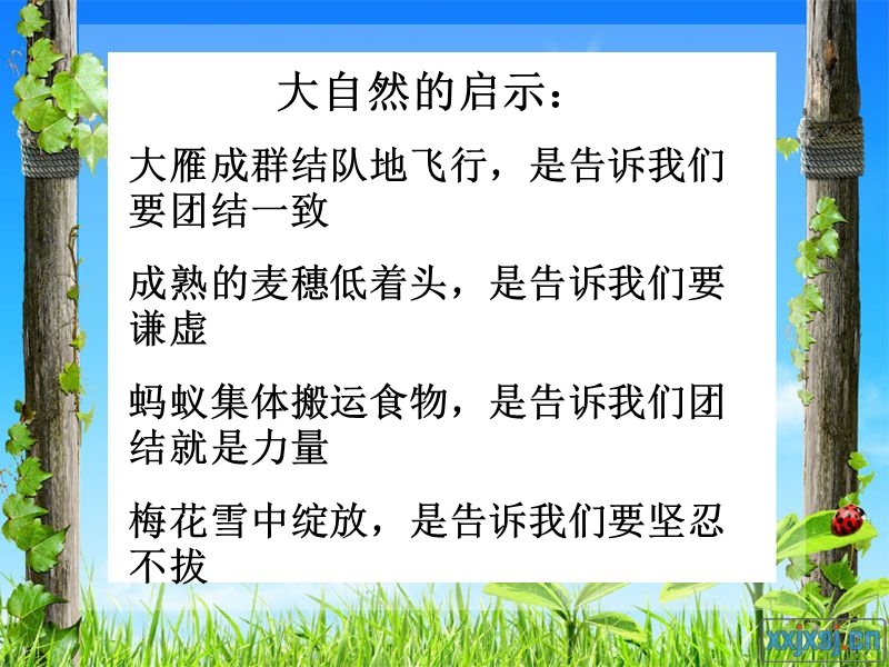 习作课件：生活的启示.ppt_第3页