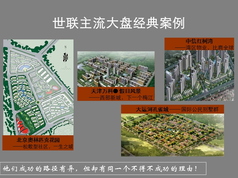 主流核心大盘价值挖掘及体系化构建(世联).ppt_第2页