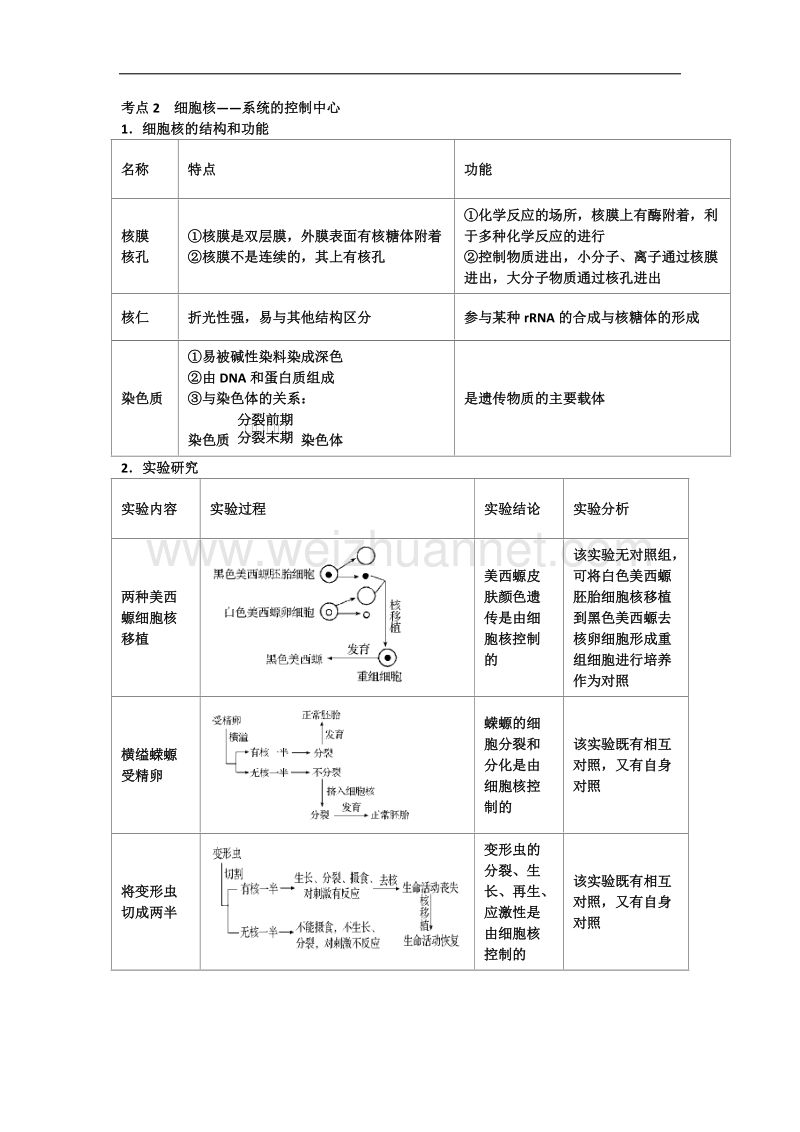 3.3细胞核——系统的控制中心 知识点.doc_第1页