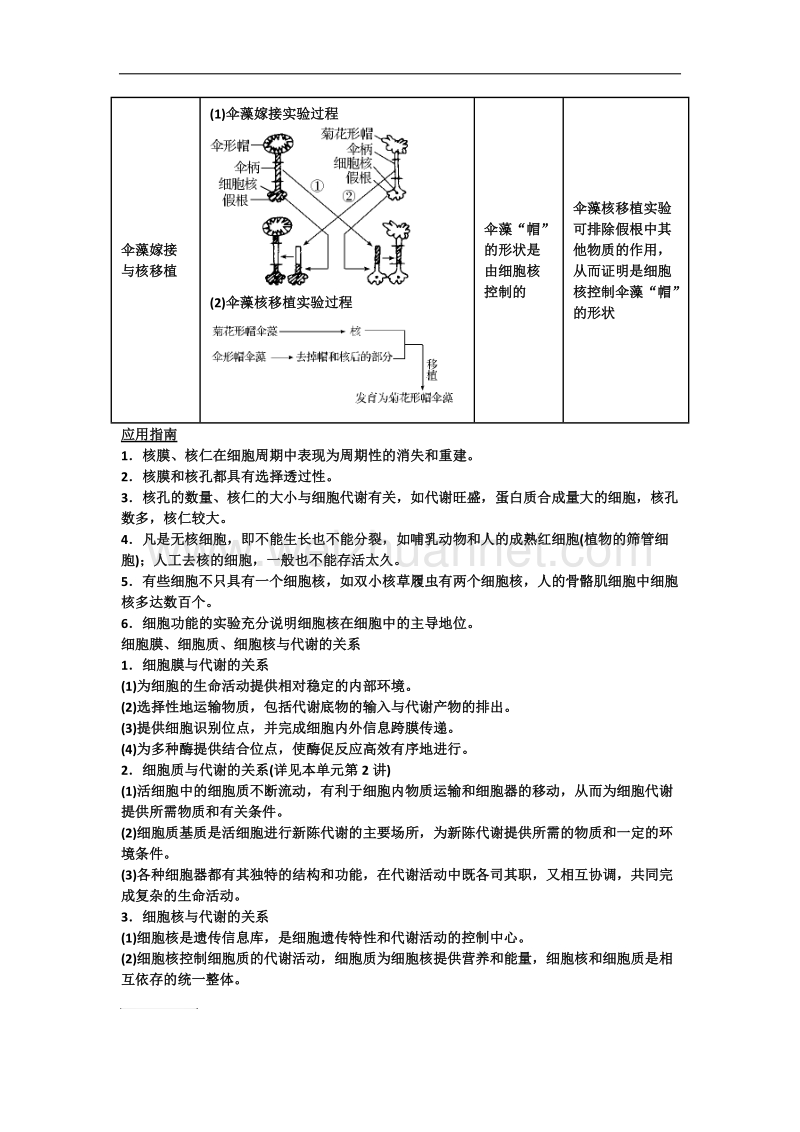 3.3细胞核——系统的控制中心 知识点.doc_第2页