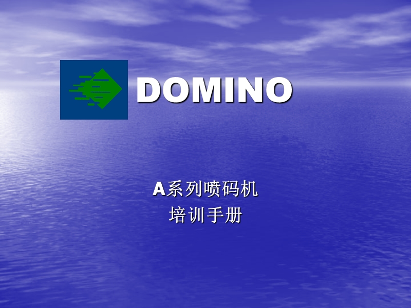 domino培训.ppt_第1页