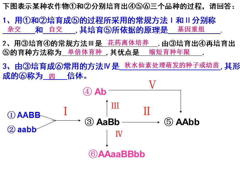 ⑤⑥三个品种的过程-请回答：1、用①和②培育成⑤的过程所采用.ppt_第1页