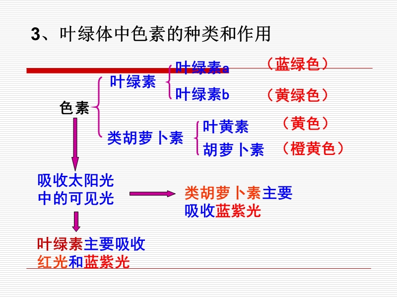 4.2 《光合作用》 课件6 （苏教版必修1）.ppt_第3页