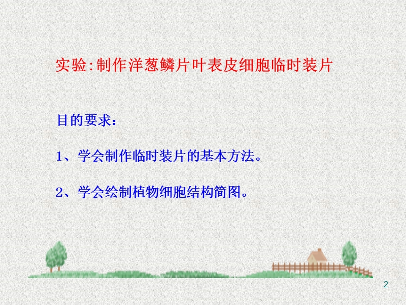 制作并观察洋葱临时装片.ppt.ppt_第2页