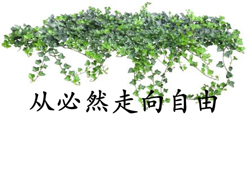 从必然到自由.ppt_第1页