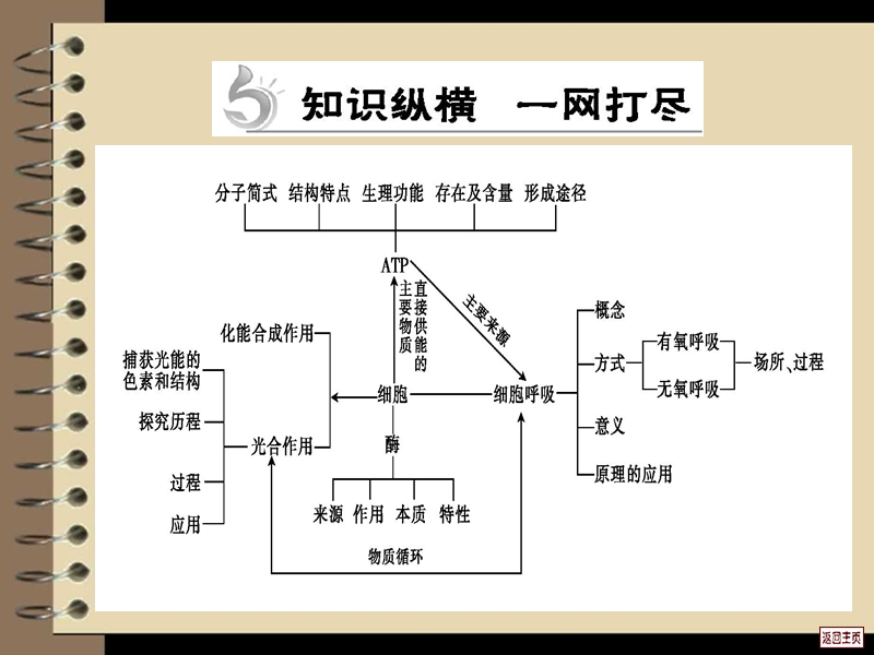 2015届高三生物二轮复习课件-第2专题-细胞的代谢.ppt_第2页