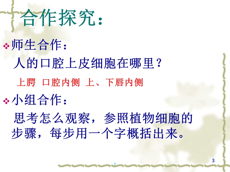 3观察人的口腔上皮细胞.ppt_第3页