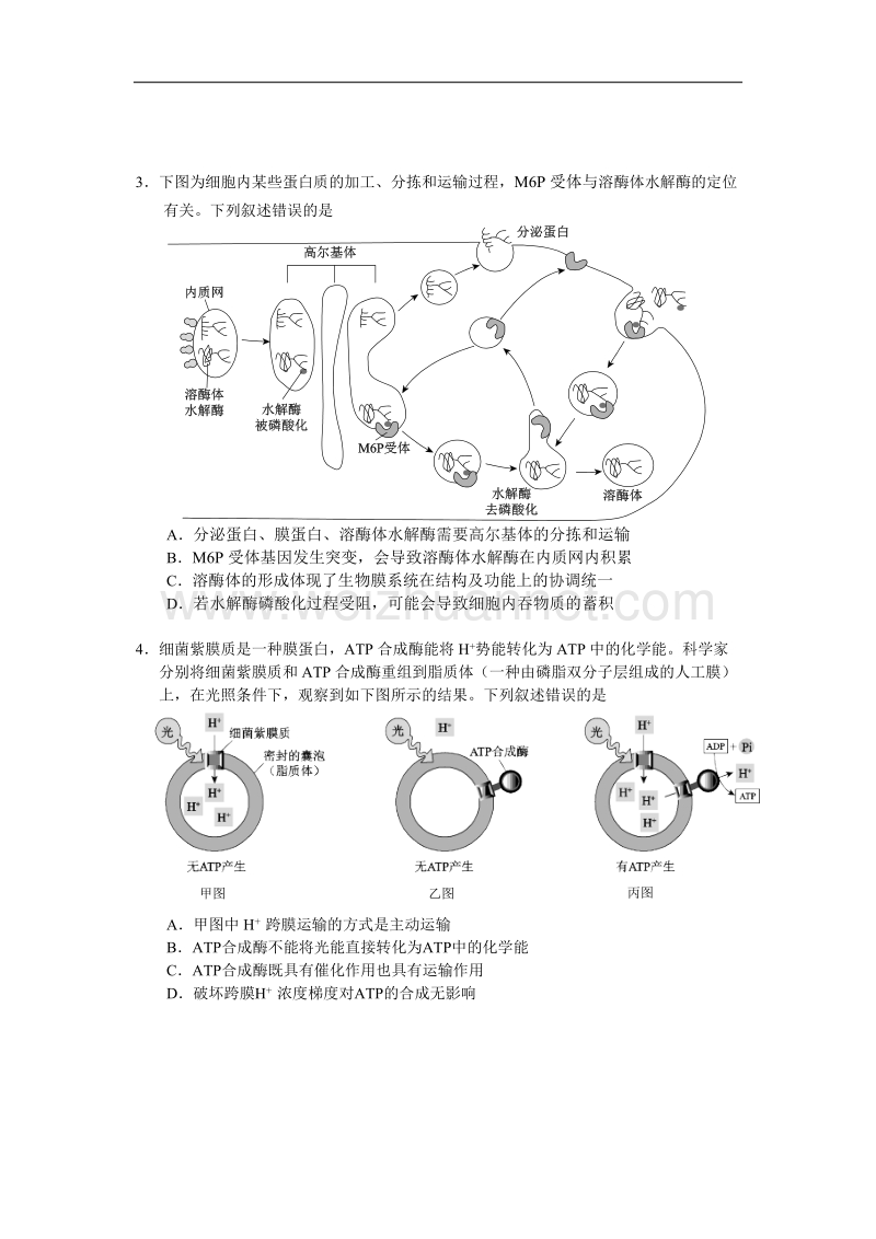 2018年西城高三期末生物卷.doc_第2页