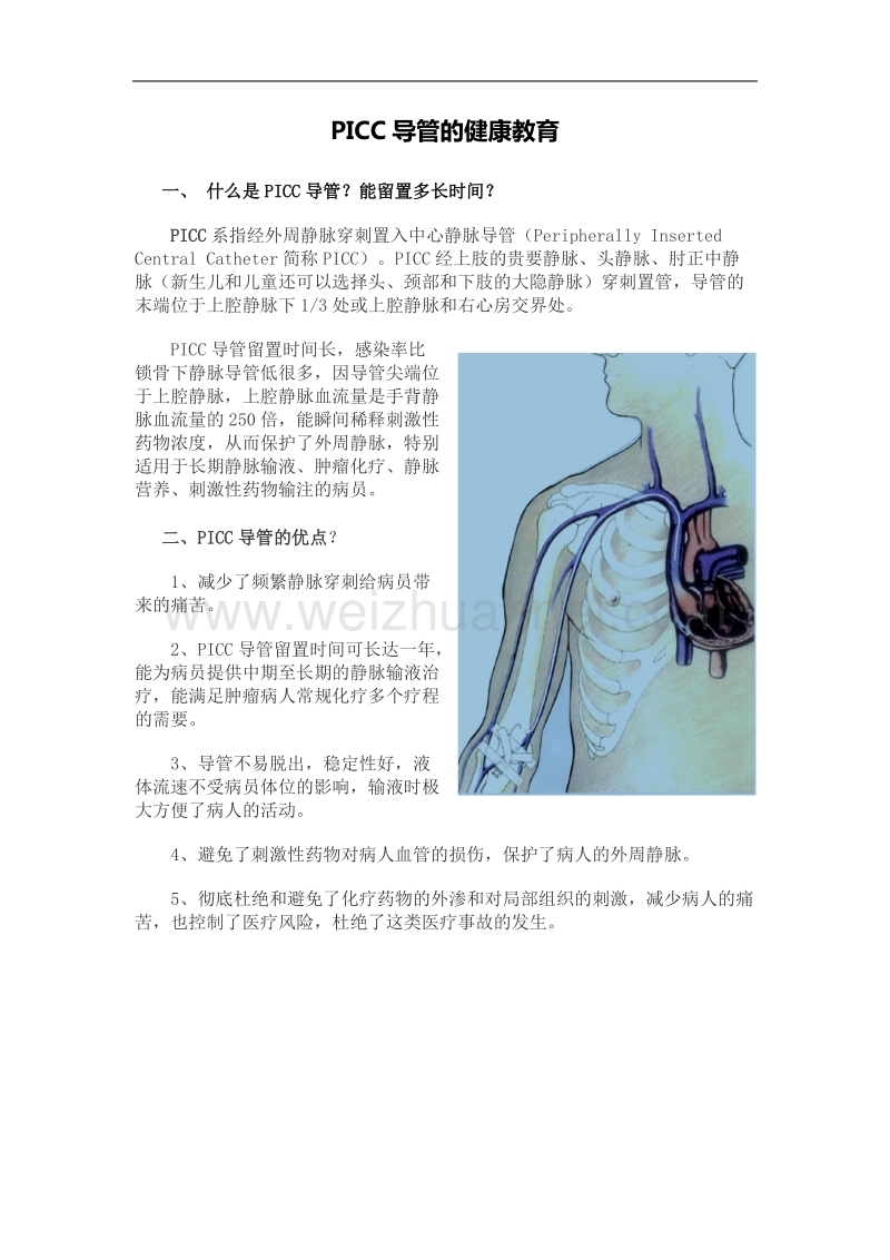 picc导管健康教育.docx_第1页