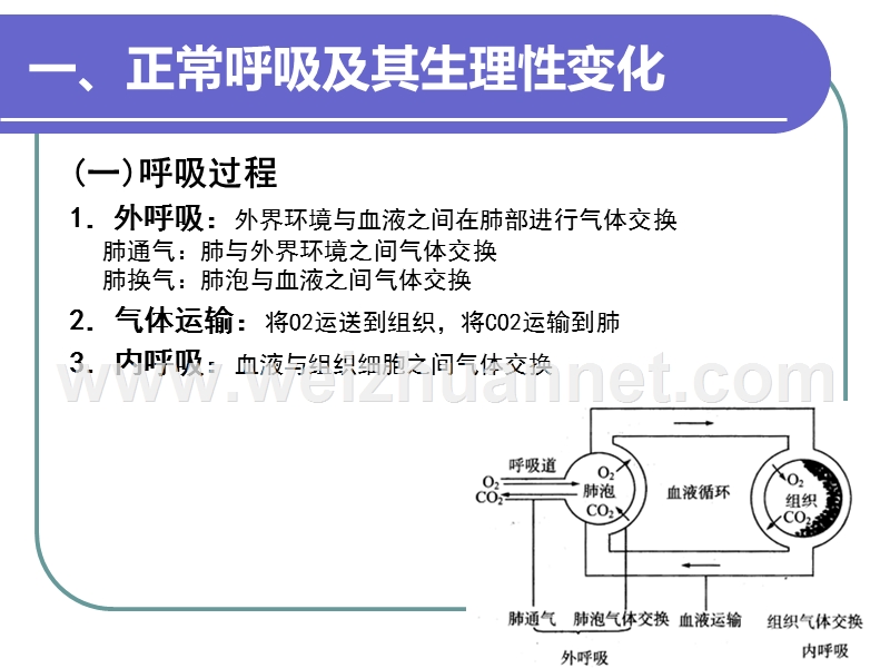 呼吸的观察与护理.ppt_第2页