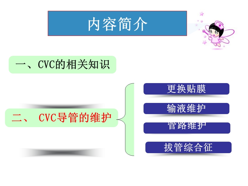 cvc维护规范--2015.10.ppt_第2页