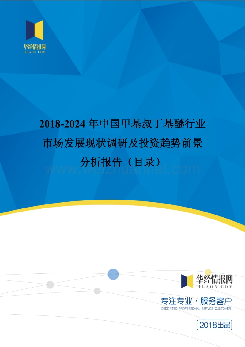 2018年度中国甲基叔丁基醚市场调研及投资前景评估(目录).doc_第1页