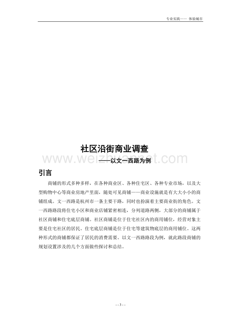 商业街业态分布.doc_第3页