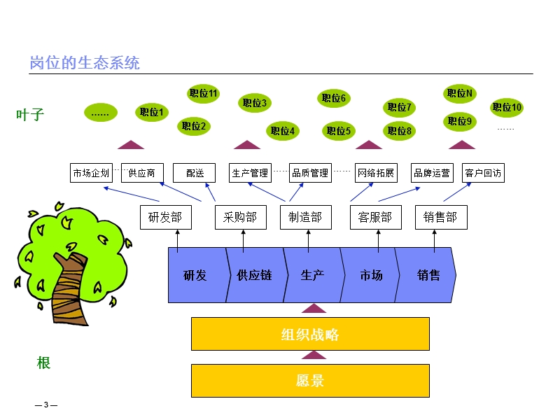 人力资源岗位体系.ppt_第3页